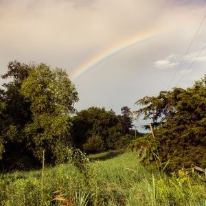 Meet your Posher, Liz